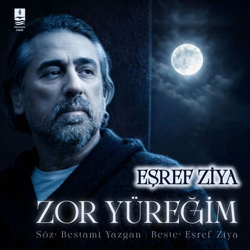 Zor Yüreğim kapak görseli